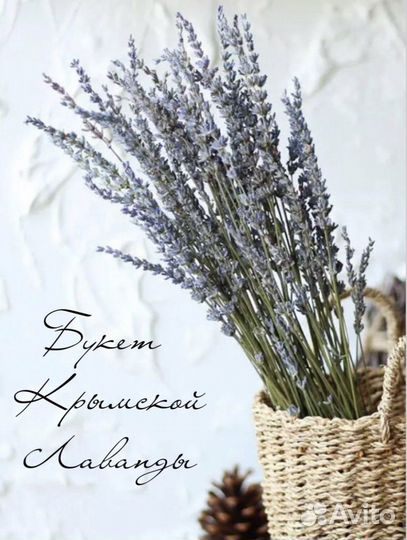 Букет крымской лаванды