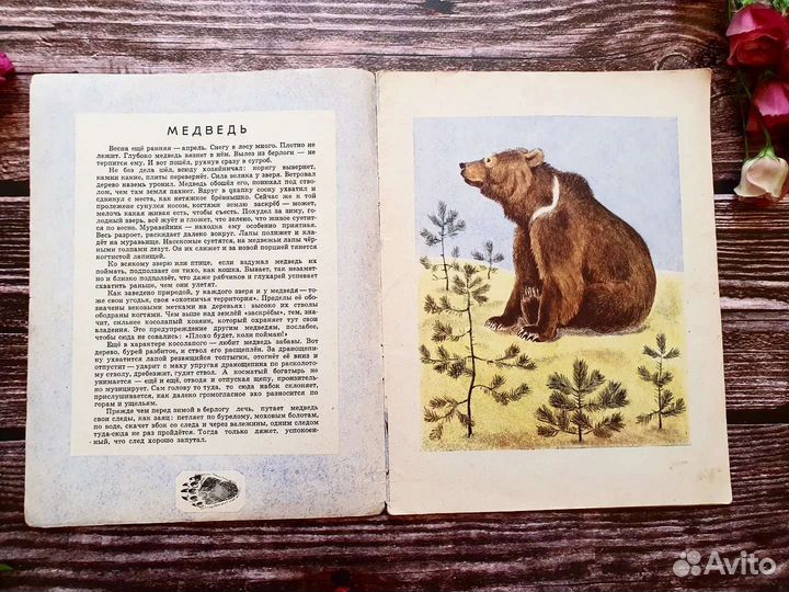 Горлов, Акииушкин. По следам 1969 г