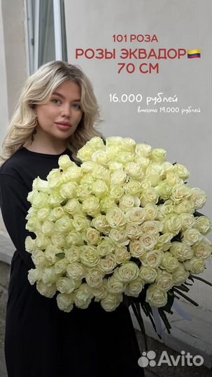 101 роза эквадор 70/80 см сорт mondial