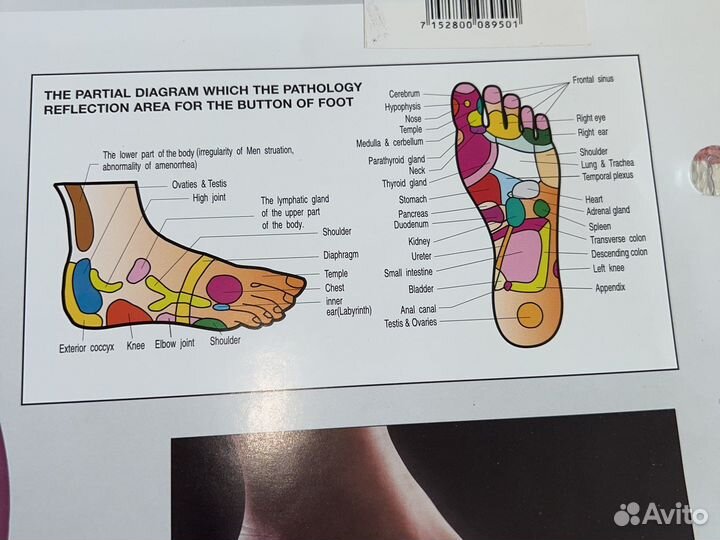 Диск здоровья с магнитами