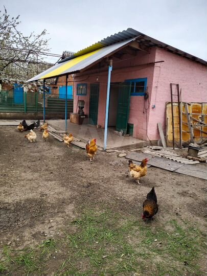 Дом 54 м² на участке 10 сот.