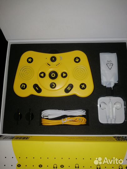 Тифлофлешплеер войса