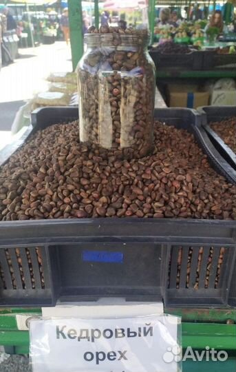 Свежий Кедровый орех (Урожай 2022)