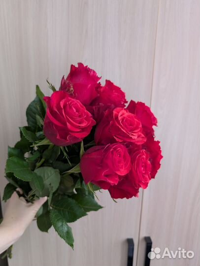 Розы импортные 60
