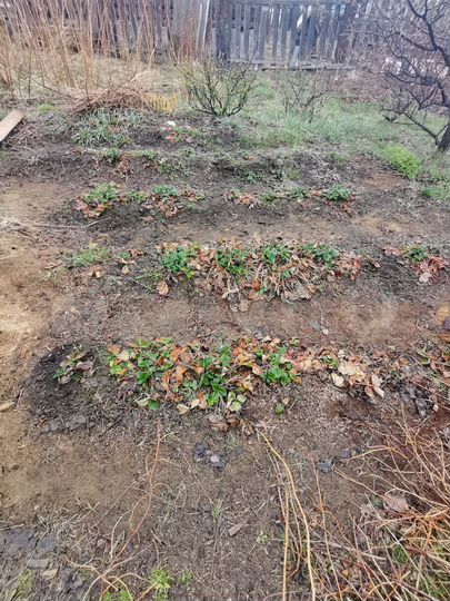 Дача 30 м² на участке 8 сот.