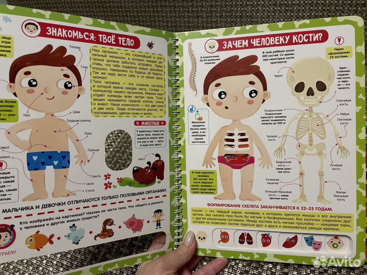 Детские книги Анатомия для детей, Под землей