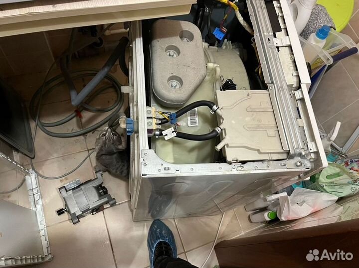 Ремонт стиральных машин и холодильников в Коньково