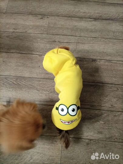 Кофточка, курточка для мелких собак