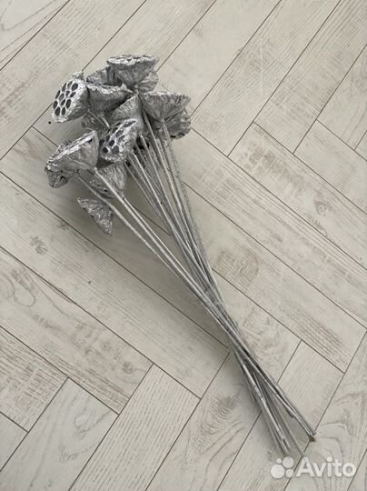 Лотос сухоцветы на ножке серебро