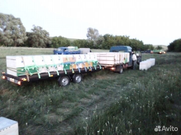 Улья, пчелоинвентарь