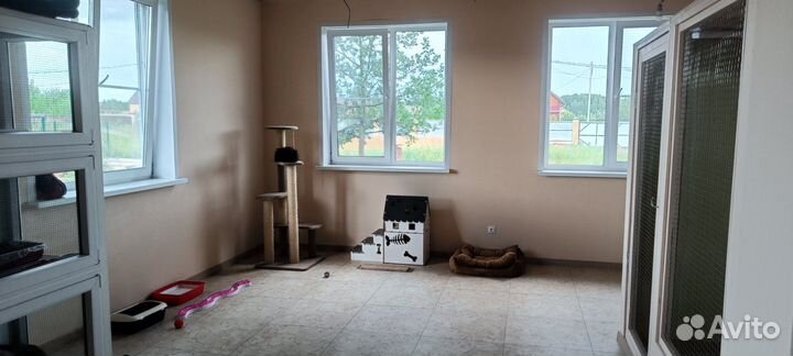 Гостиница для кошек 