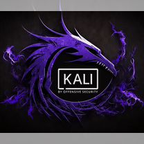 USB 64gb Kali Linux Purple