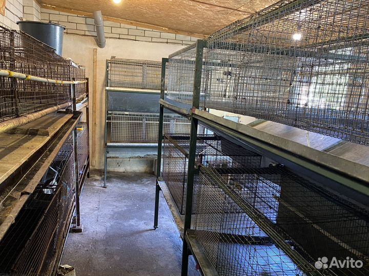 Клетки для кроликов, миниферма