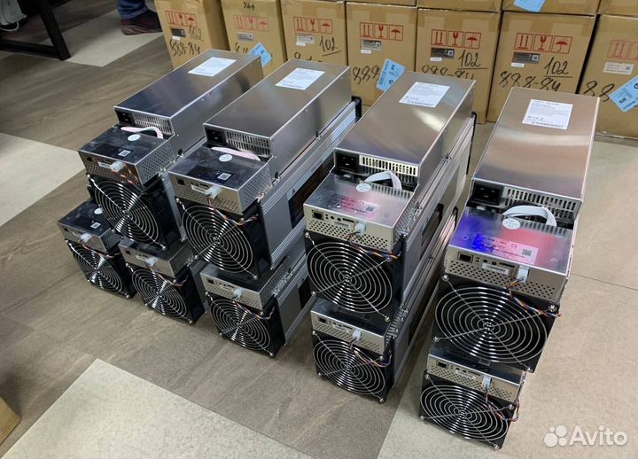 Antminer Whatsminer асики для майнинга криптовалют