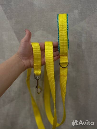 Амуниция для животных