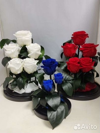 Подарок на новый год / Цветы