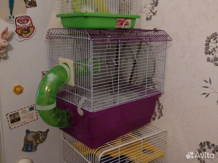 Клетка для грызунов бу