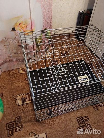Клетка вольер для большой собаки бу