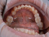 Обучение стоматологов
