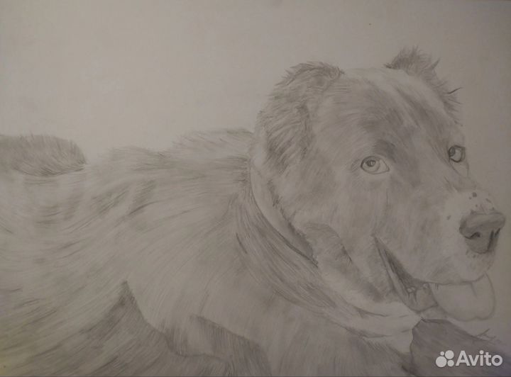 Портрет по фото