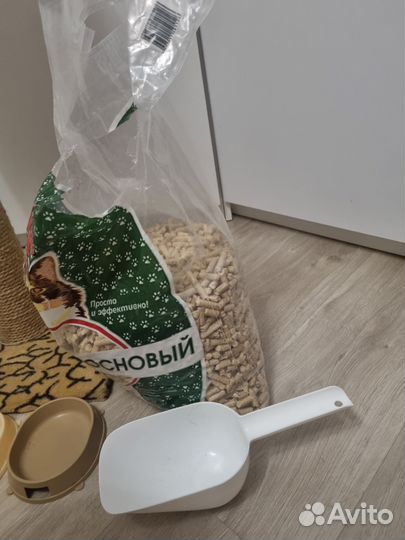 Аксессуары для кошек