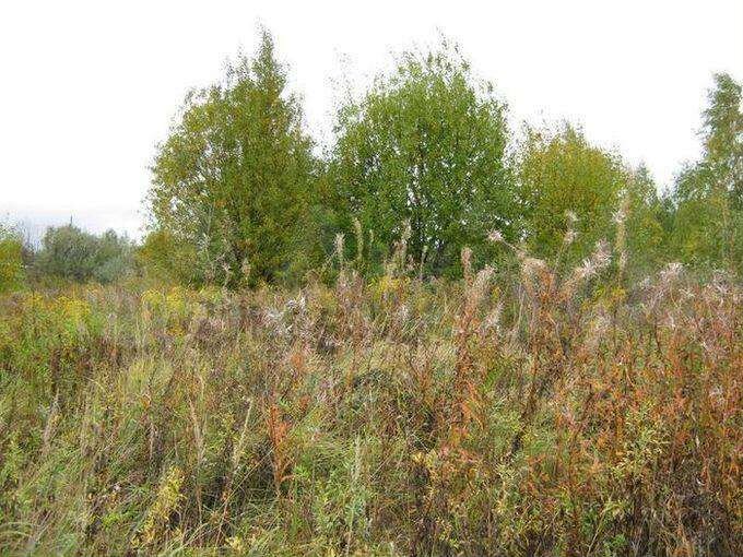 Участок 5 га (СНТ, ДНП)