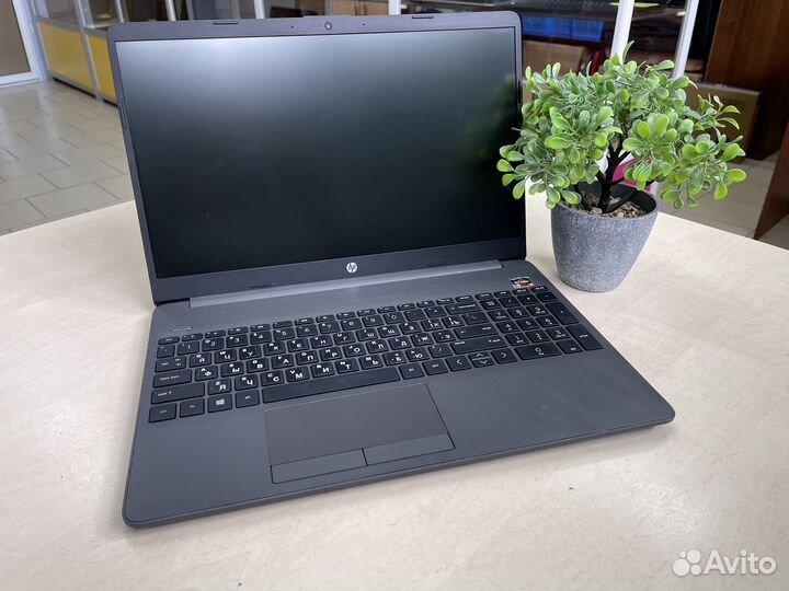 Отличный ноутбук HP/Ryzen/8GB/SSD