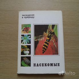 Деревянный пазл Картинки-половинки Птицы и насекомые серия Мой первый пазл