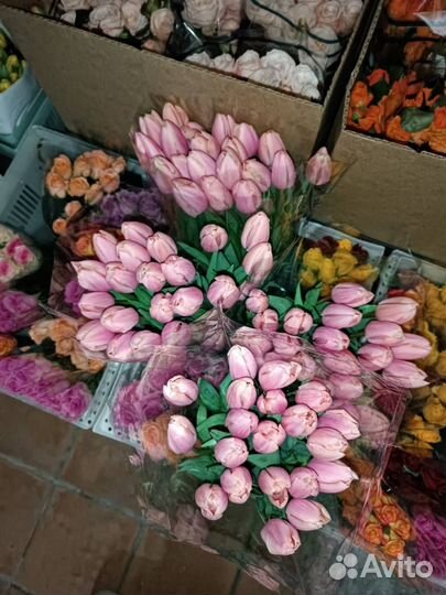 Тюльпаны к 8 марта