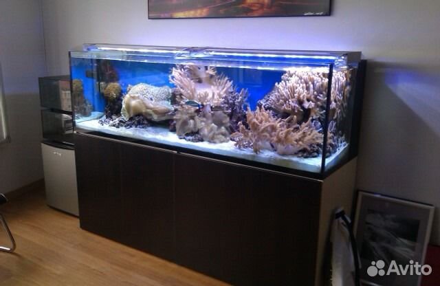 Обслуживание аквариумов