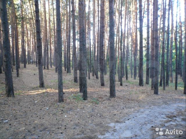 Участок 20 сот. (ИЖС)