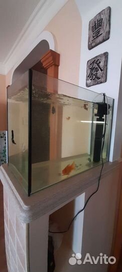 Аквариум с рыбами
