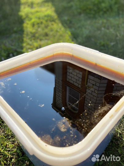 Мед оптом с Алтая / Экспорт в Китай и снг