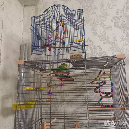 Клетка для попугаев