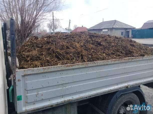 Коровьий навоз