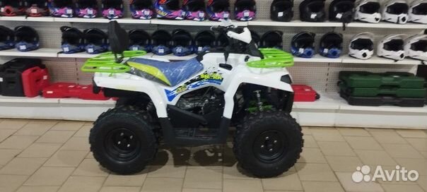 Квадроцикл 200 shark