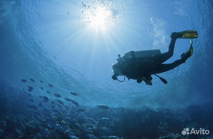 Дайвинг с катера/берега