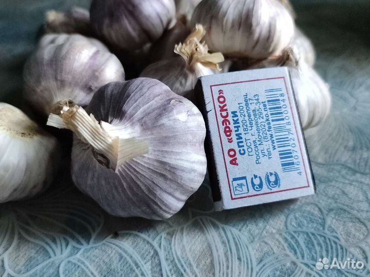 Яровой чеснок