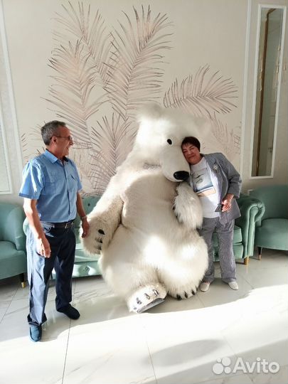 Белый мишка поздравление Сочи/ аниматоры / аренда