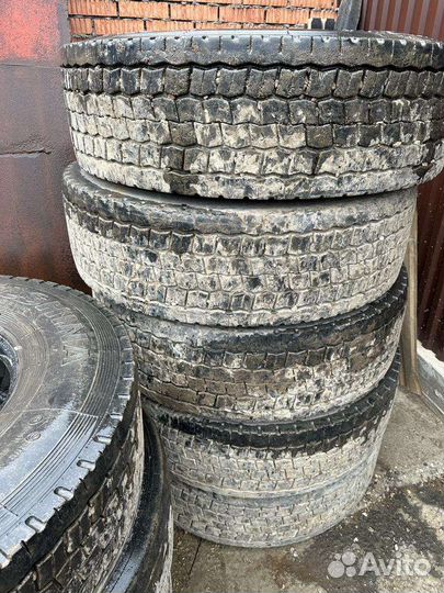 American Classic American Classic 4/4.5 R6.5 и 4/6 R6.5 22C