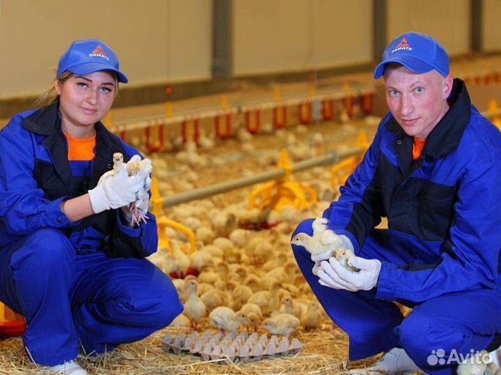 Разнорабочий с проживанием