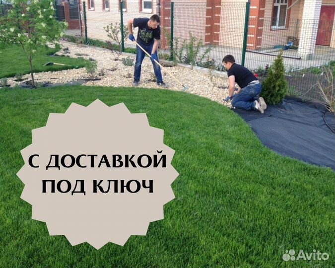 Рулонный газон c доставкой