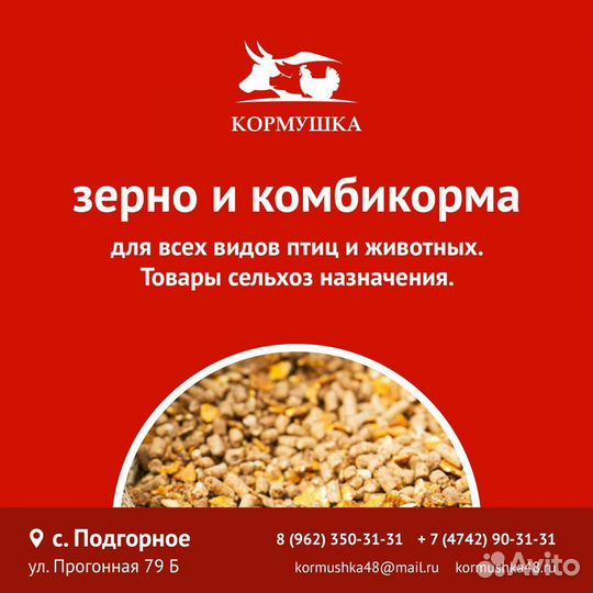 Комбикорм Мегамикс Несушка Фазовый пк 1-2