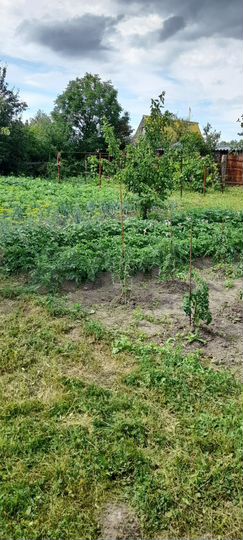 Дача 60 м² на участке 15 сот.