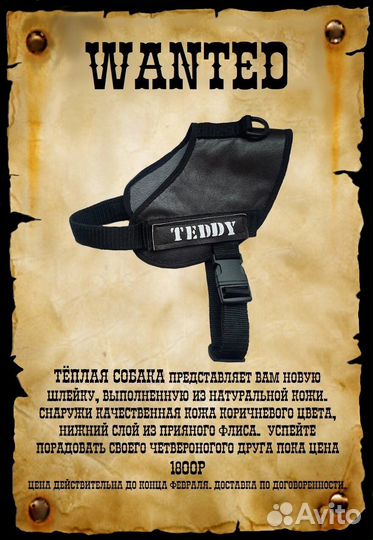 Шлейка для собаки, одежда, попона