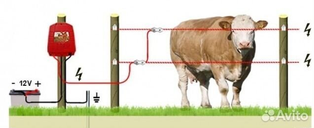 Электропастухи для крс и Телят
