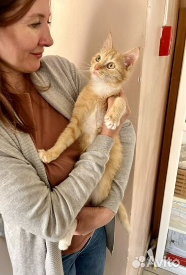 Марсель ищет дом