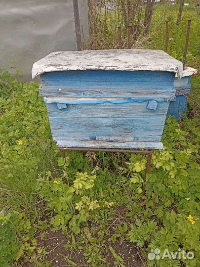 Улей для пчел