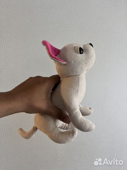 Чичилав собачка