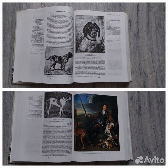 Охота/монеты книги